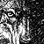 Jan Patrik Krasny illustrations gallery - 